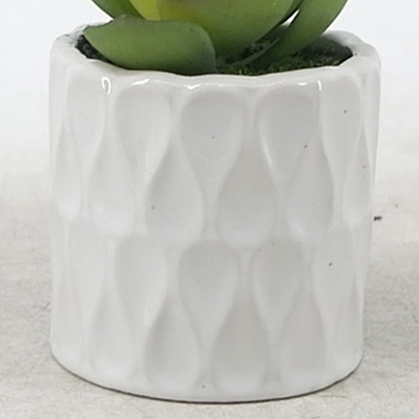 MC21-10918P Succulent H3.5＂