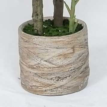 MC20-9687S Ficus lyrata H39＂