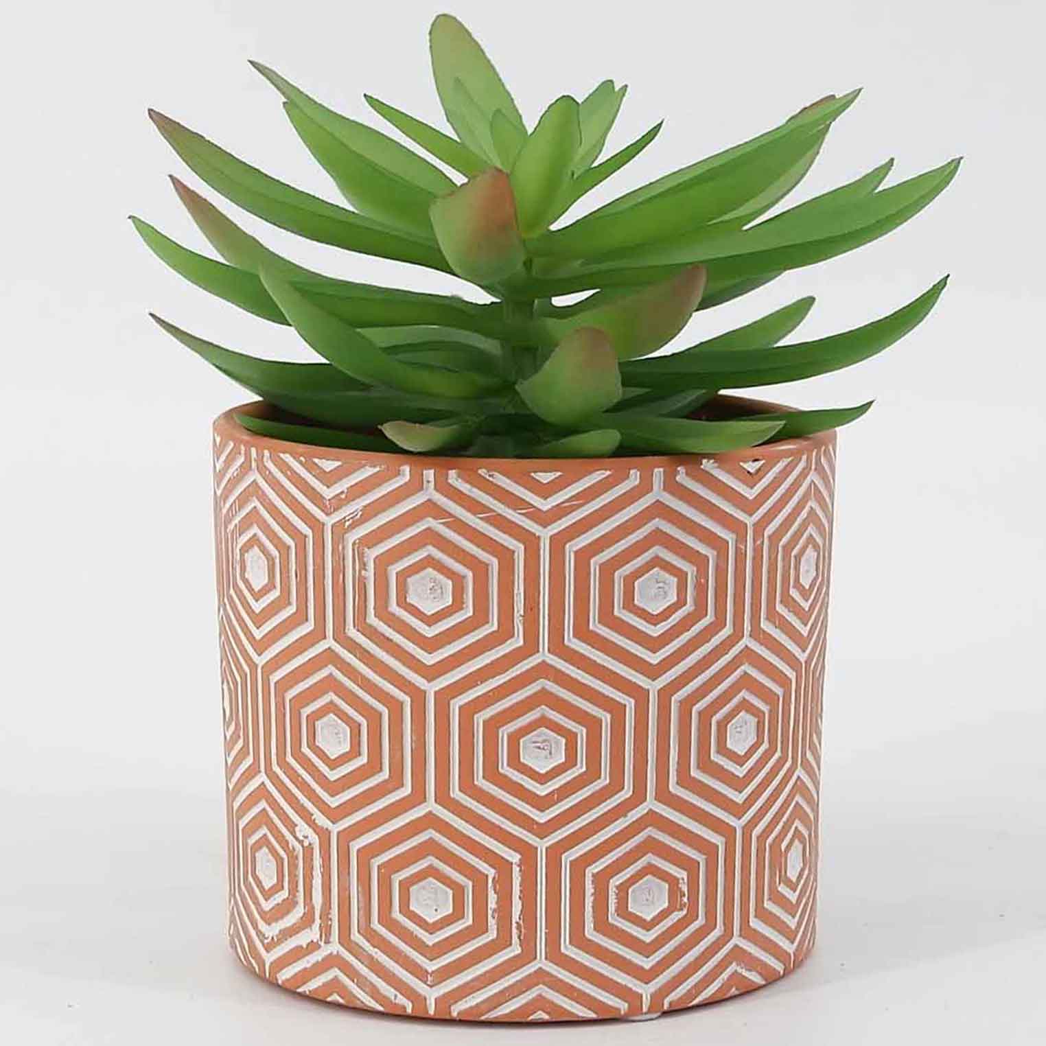 MC19-7578P Succulent H7＂