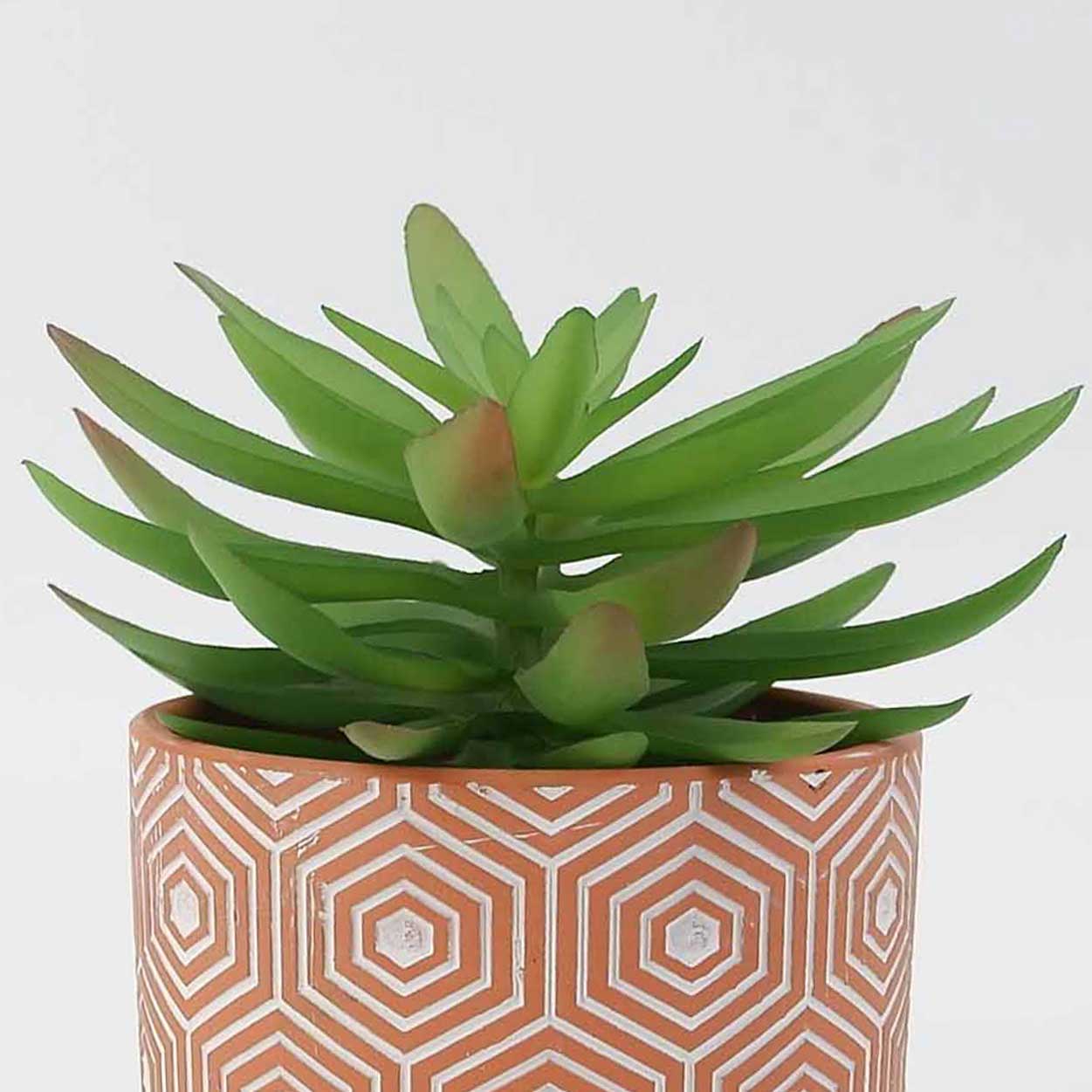 MC19-7578P Succulent H7＂