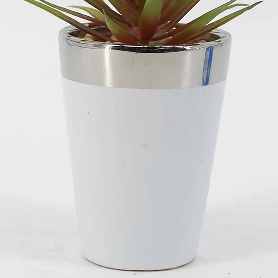 MC19-7583P Aloe H9＂