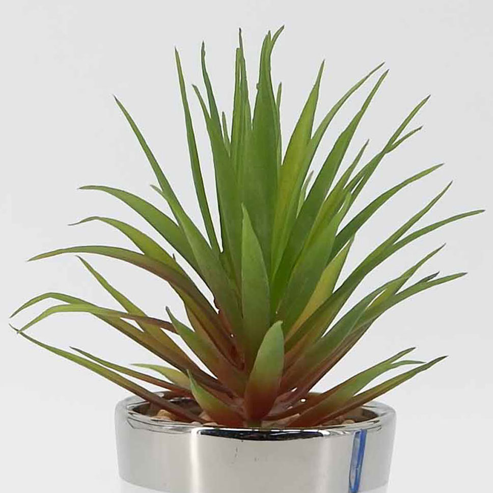 MC19-7583P Aloe H9＂