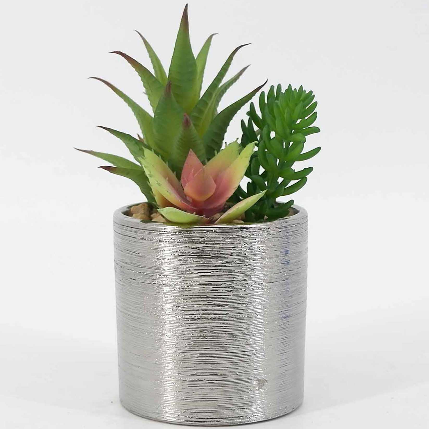 MC19-7591P Mixed succulent H7.5＂