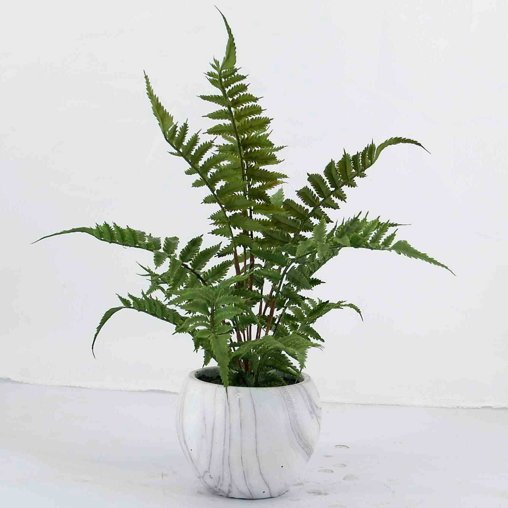 MC19-8064S Fern H16＂