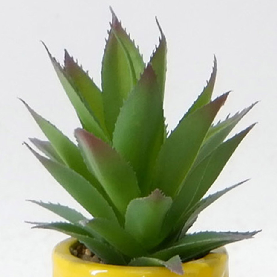 MC20-9760P Aloe H7.5＂