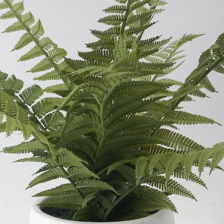 MC21-9873P Fern H14.5＂