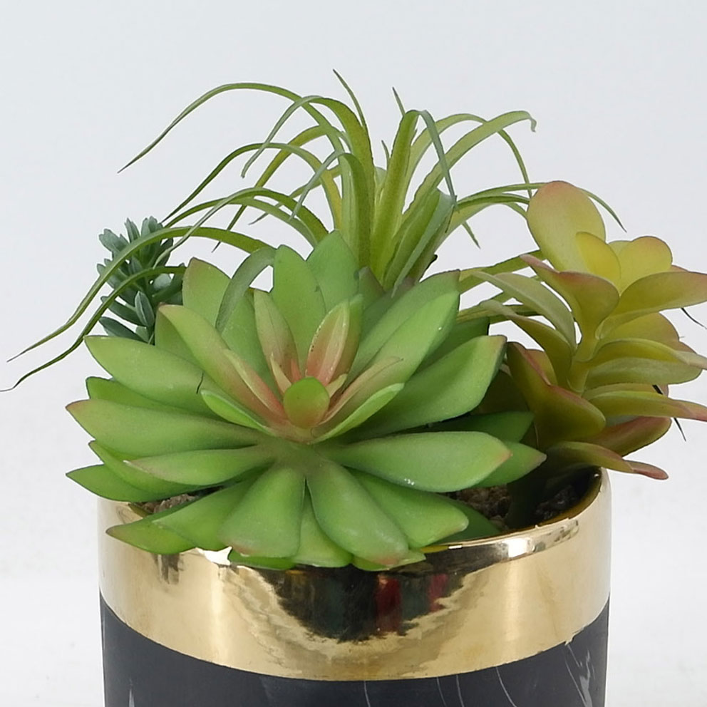 MC21-9936P Mixed succulent H8.5＂