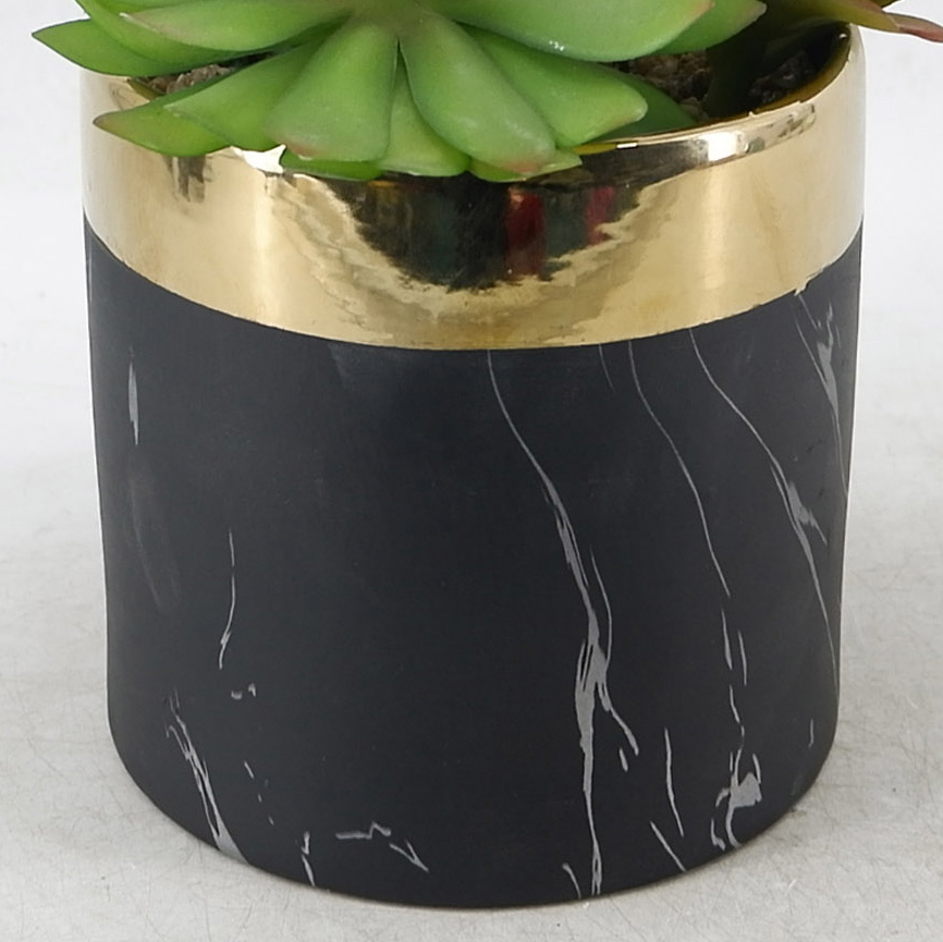 MC21-9936P Mixed succulent H8.5＂