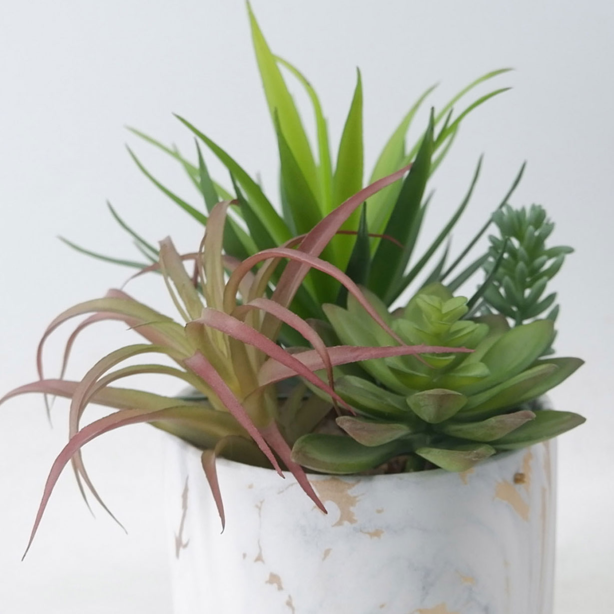 MC21-9950P Mixed succulent H9.5＂