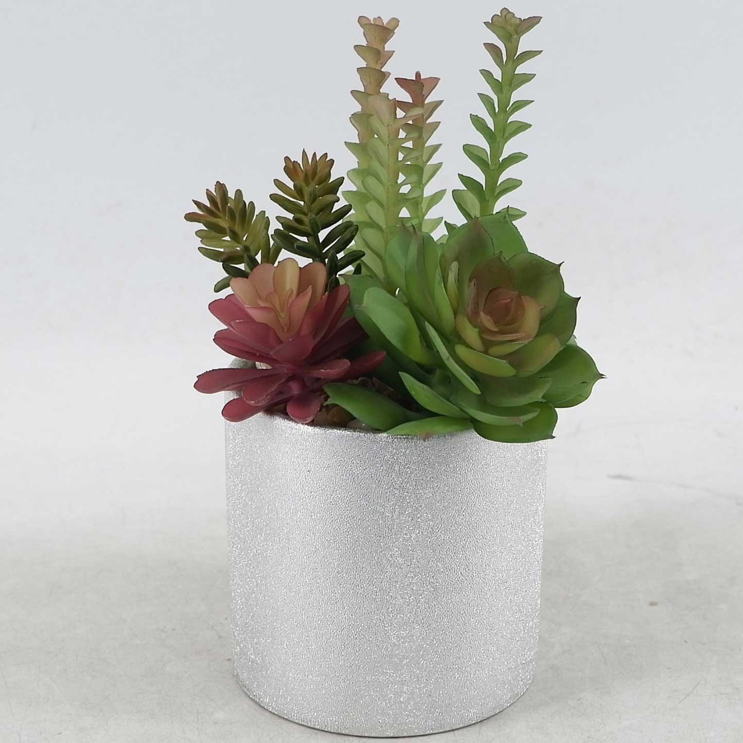 MC21-10824P Mixed succulent H9＂