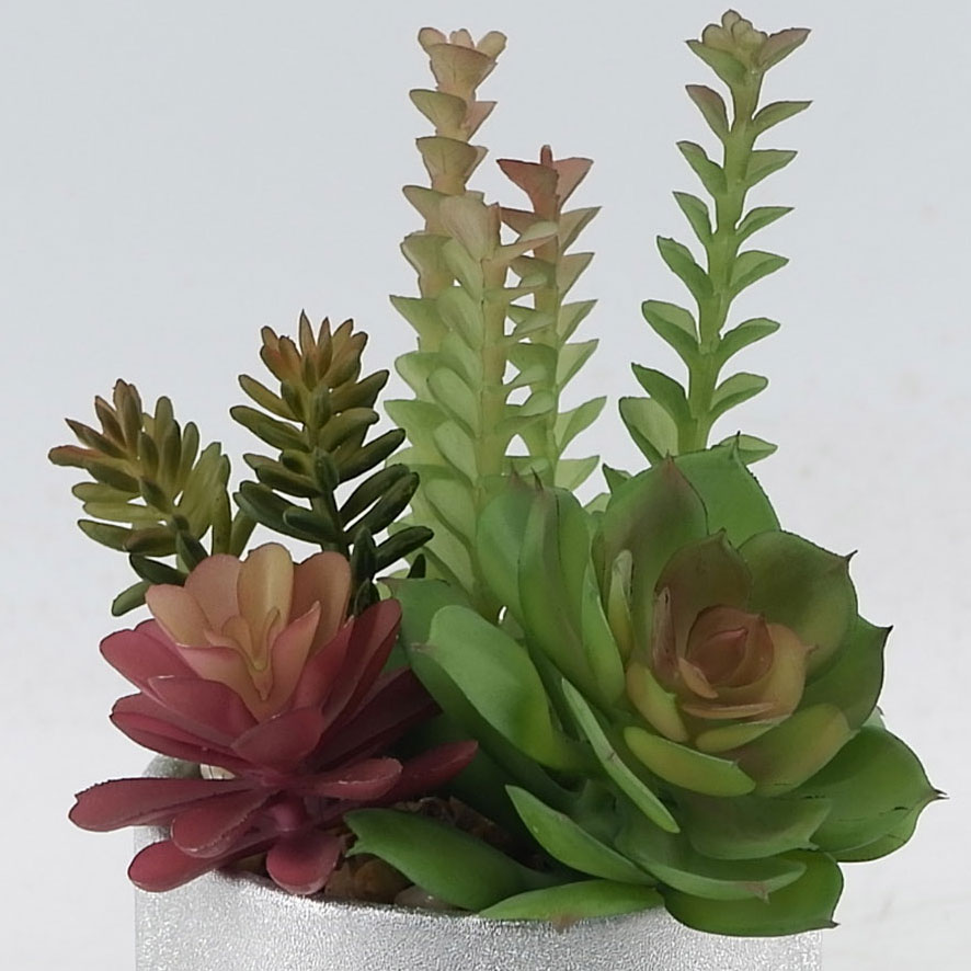 MC21-10824P Mixed succulent H9＂