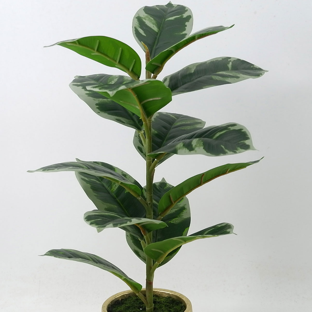 MC21-10823P Mini plant H18.5＂