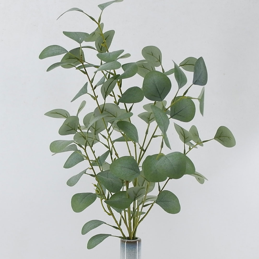 MC21-10913P Eucalyptus leaf H33＂