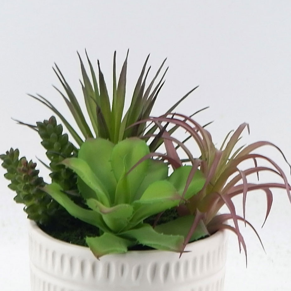 MC21-11044P Mixed succulent H9.5＂