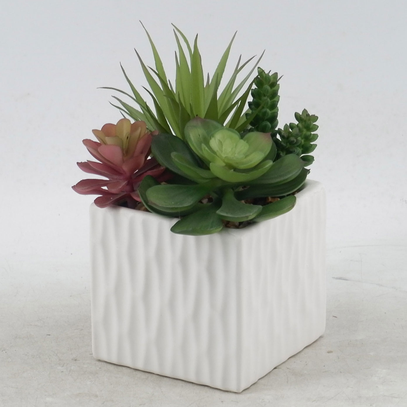 MC21-11045P Mixed succulent H9.5＂