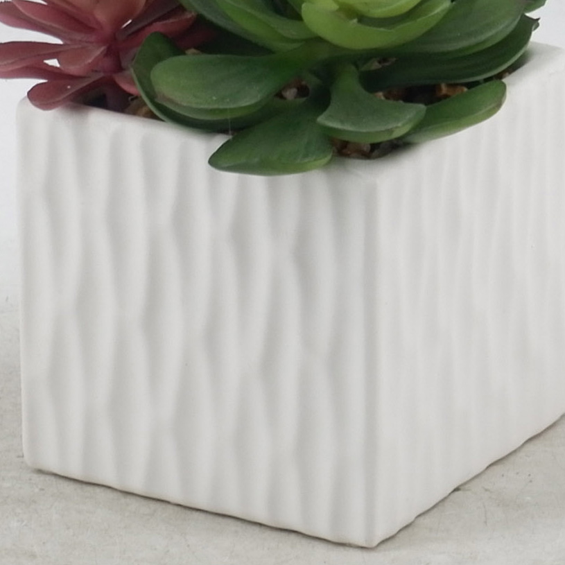 MC21-11045P Mixed succulent H9.5＂