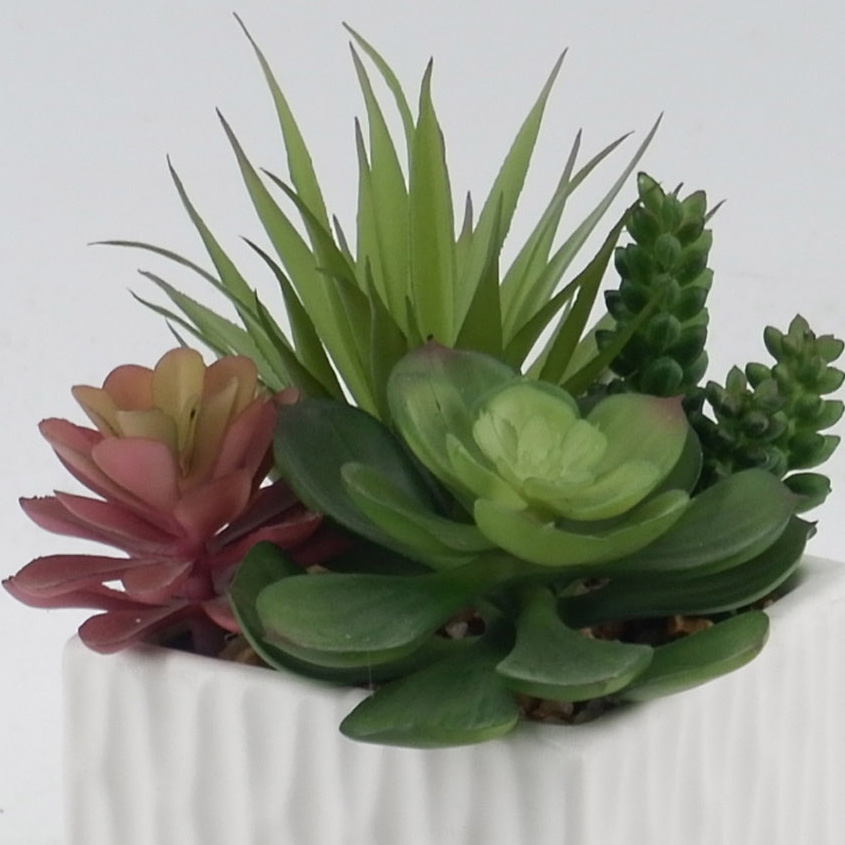 MC21-11045P Mixed succulent H9.5＂