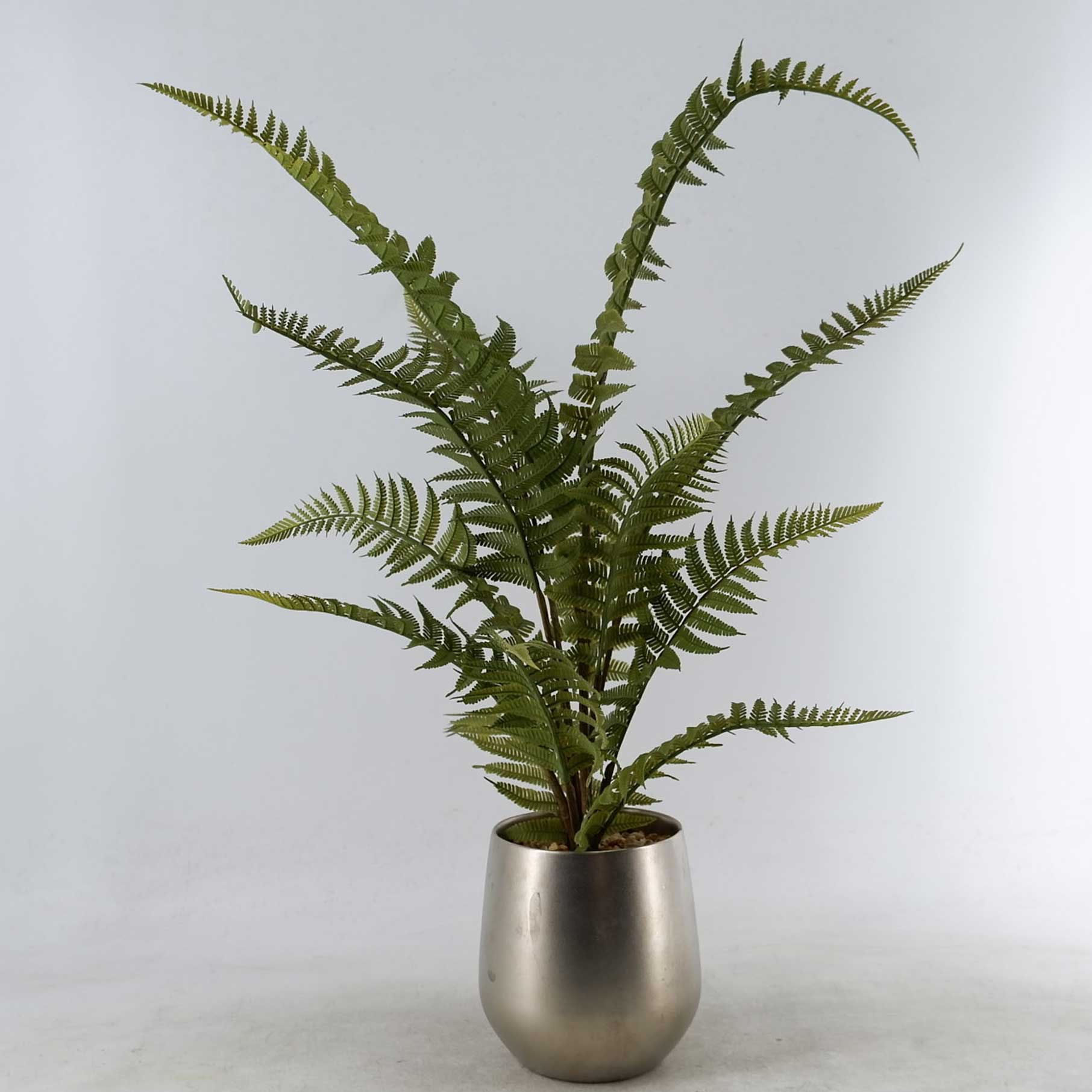 MC22-12633P Fern H17.5＂