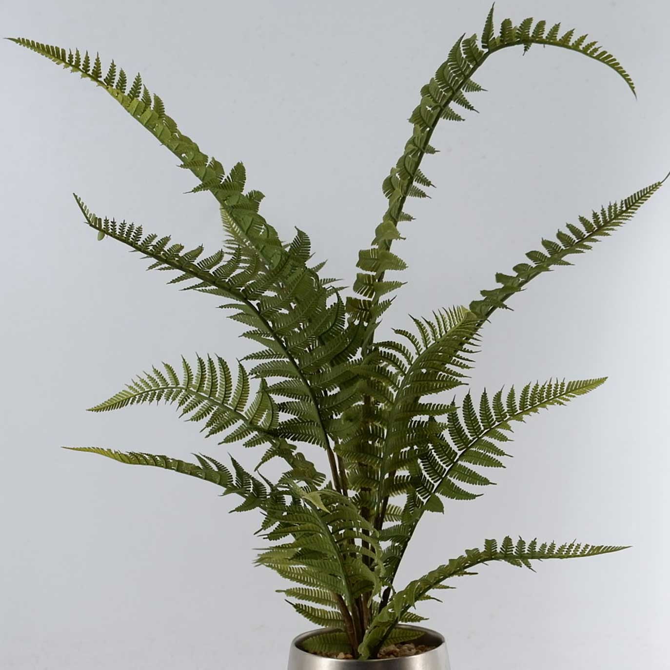 MC22-12633P Fern H17.5＂