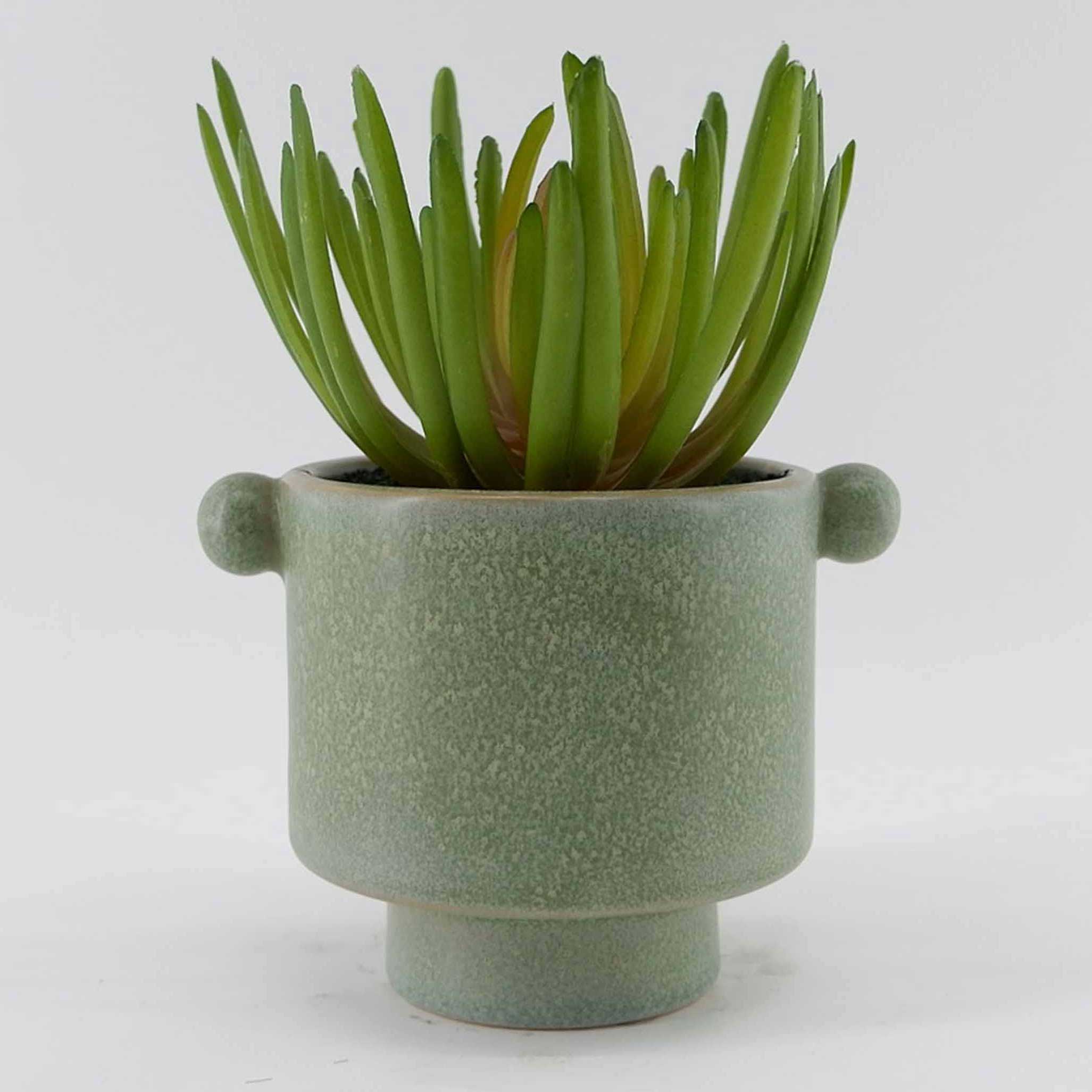 MC23-13564P Succulent H7.25＂