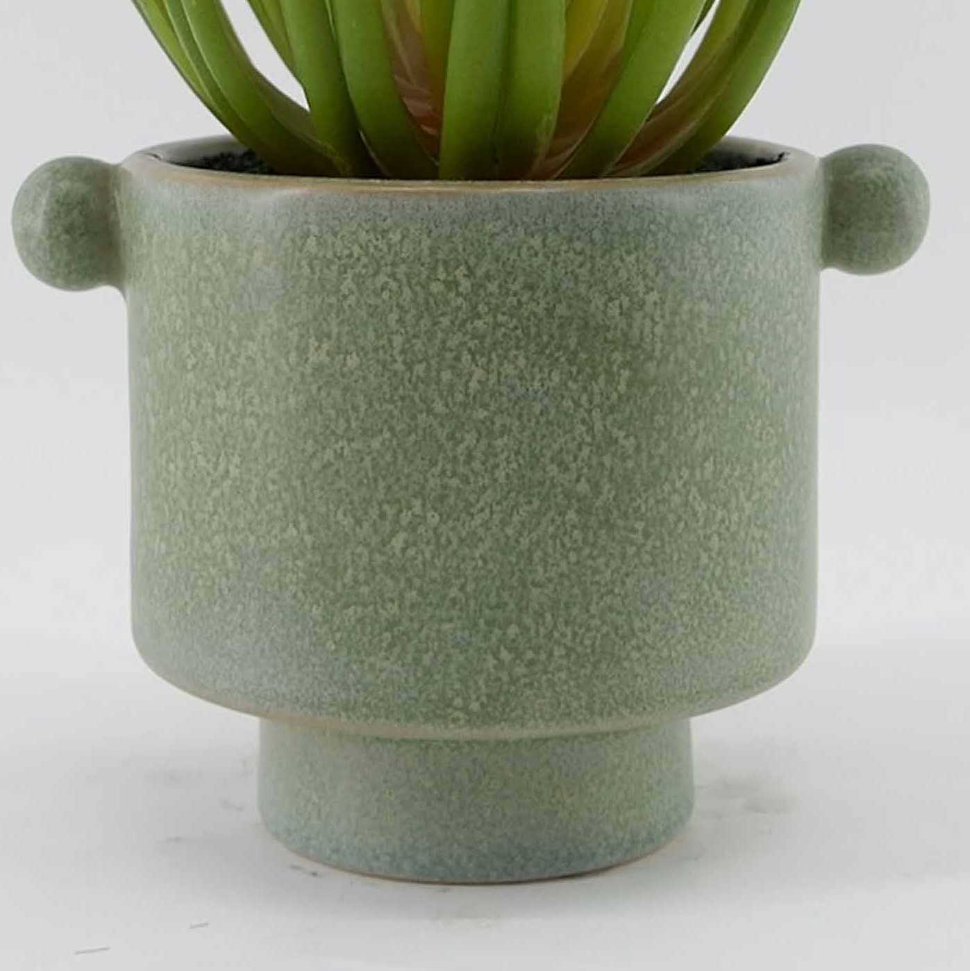 MC23-13564P Succulent H7.25＂