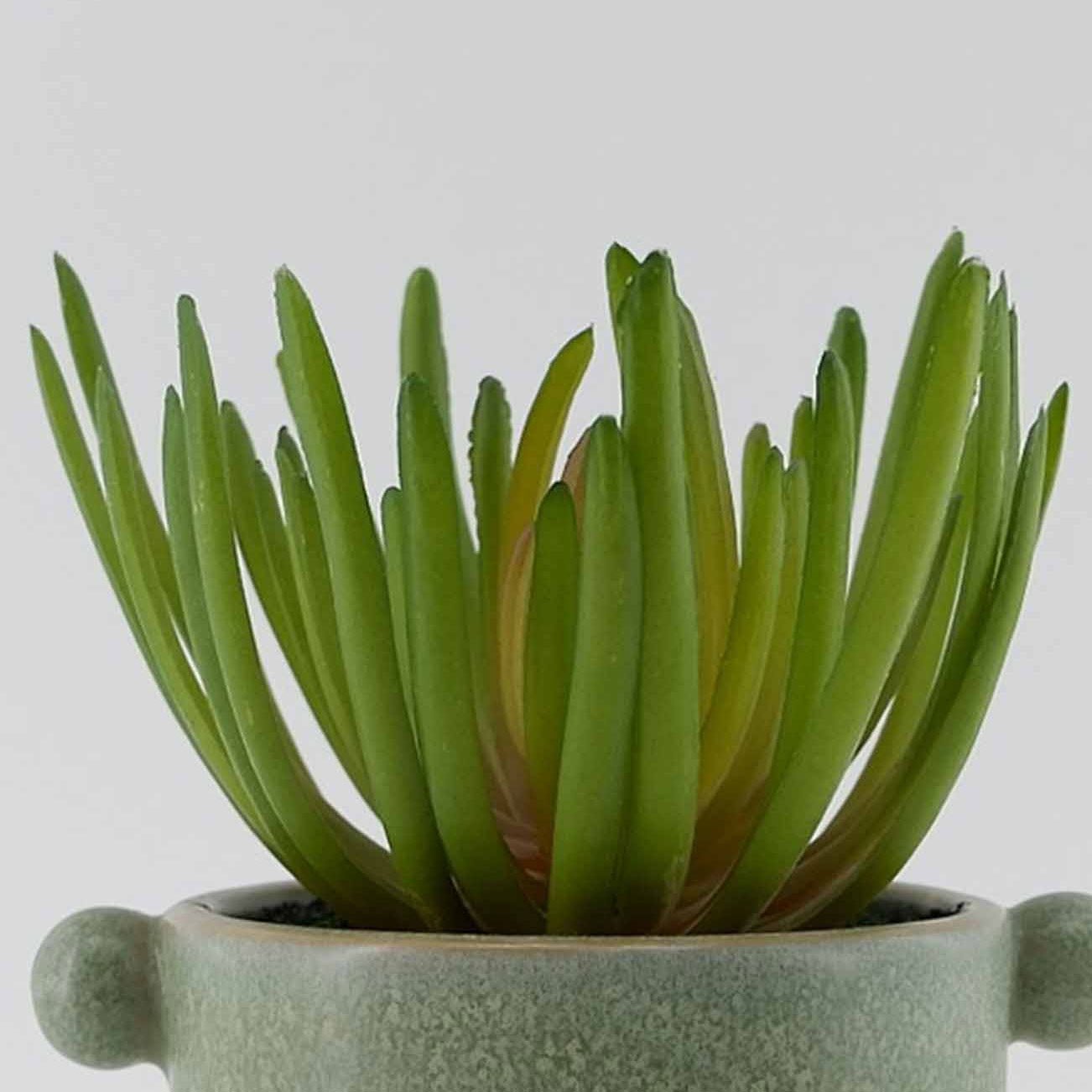 MC23-13564P Succulent H7.25＂