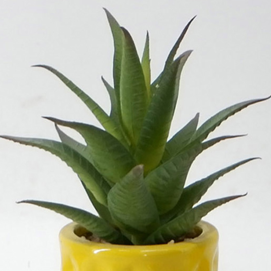 MC20-9761P Aloe H7.5"