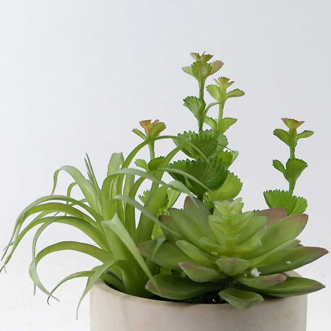 MC22-13407S Mixed succulent H9＂ 