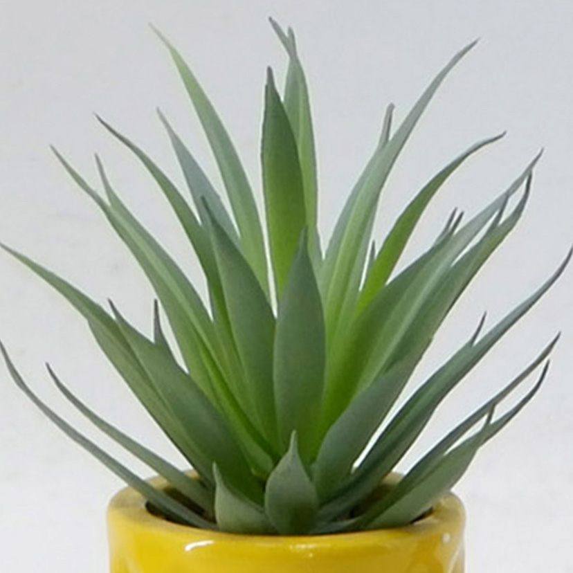 MC20-9762P Aloe H7.5＂