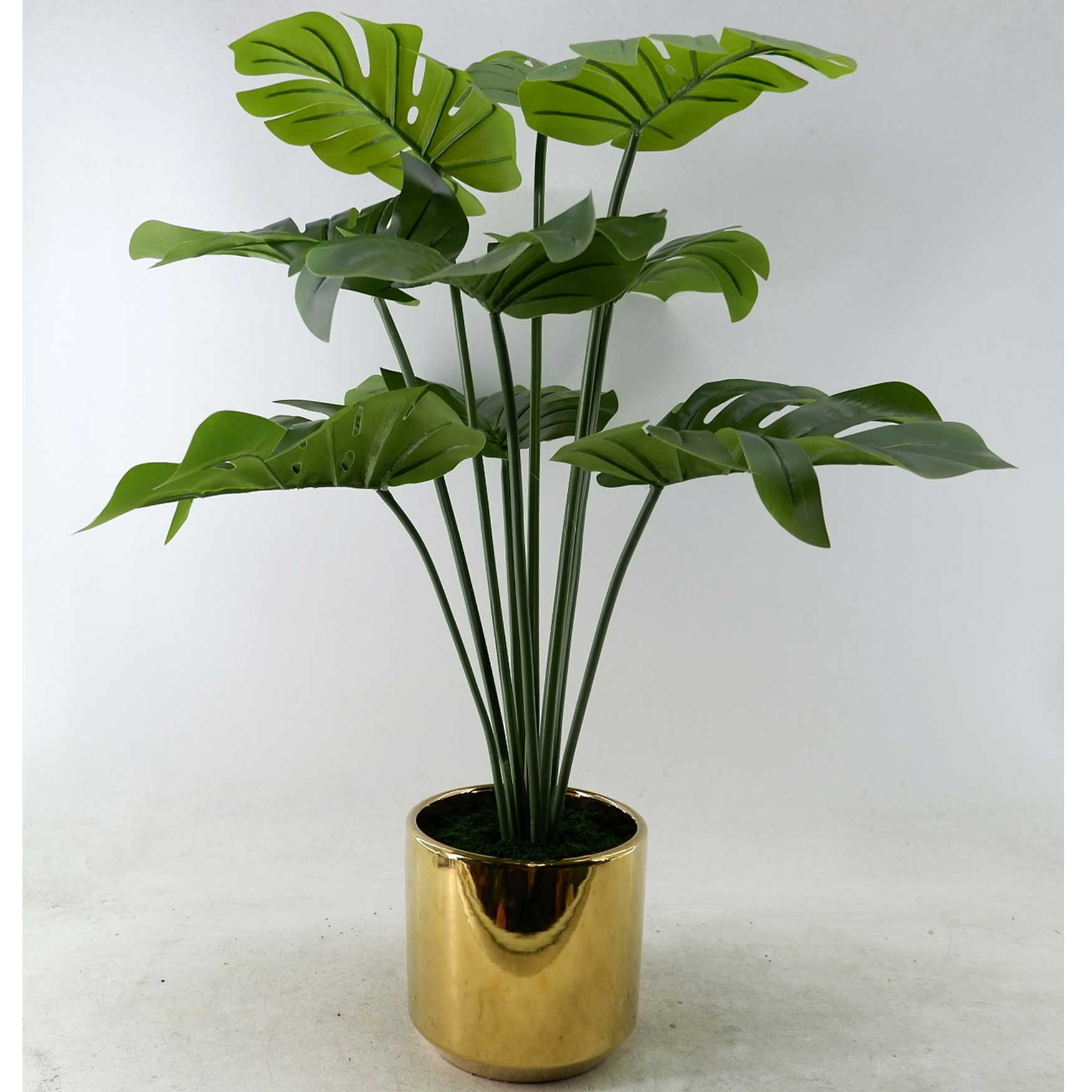 MC23-13740P Monstera H26.5＂