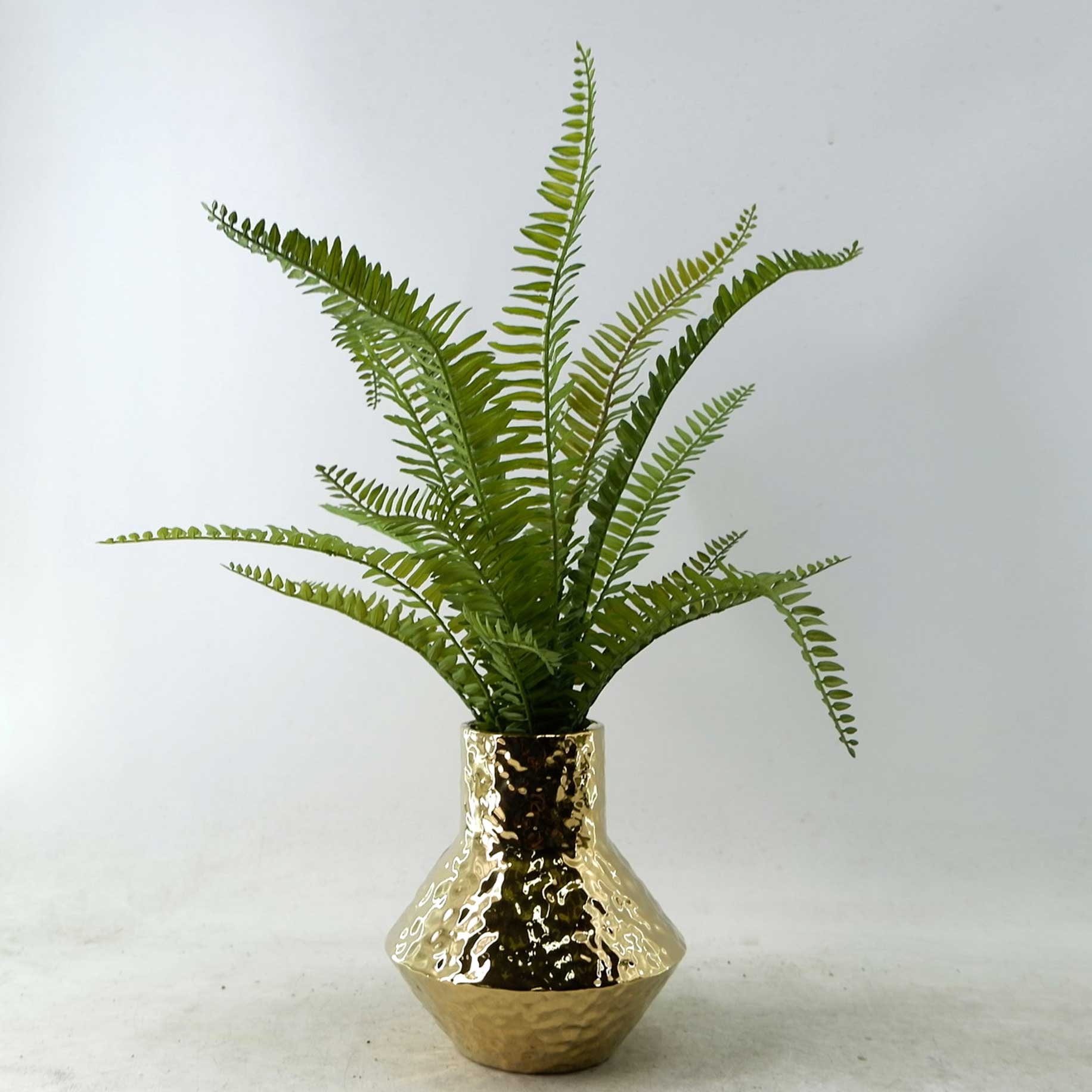 MC23-13749P Fern H17.5＂