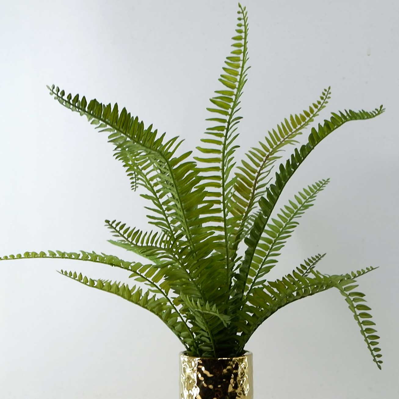 MC23-13749P Fern H17.5＂