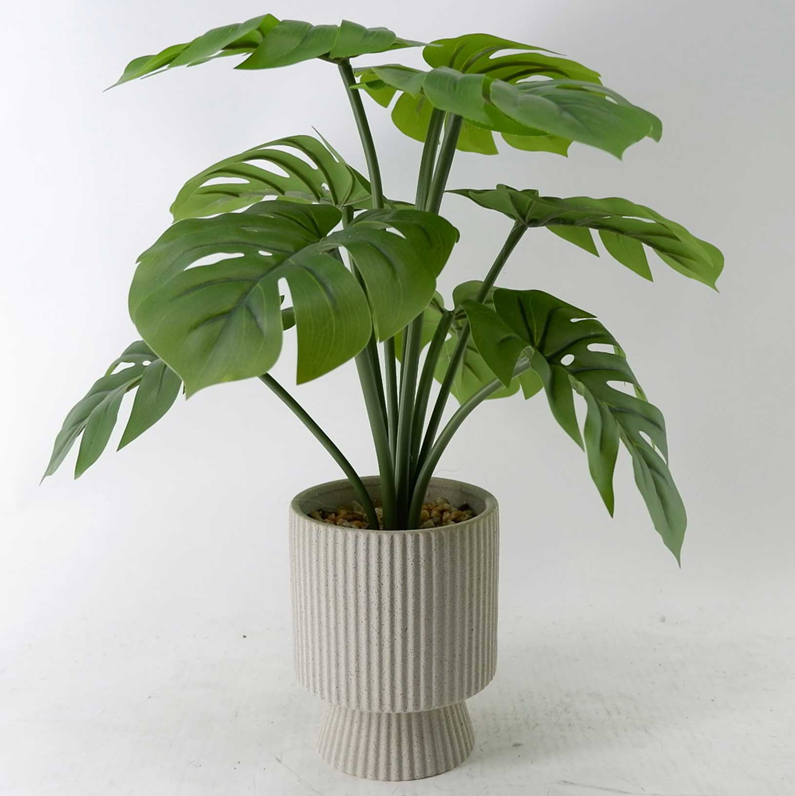 MC23-13820P Monstera H16＂