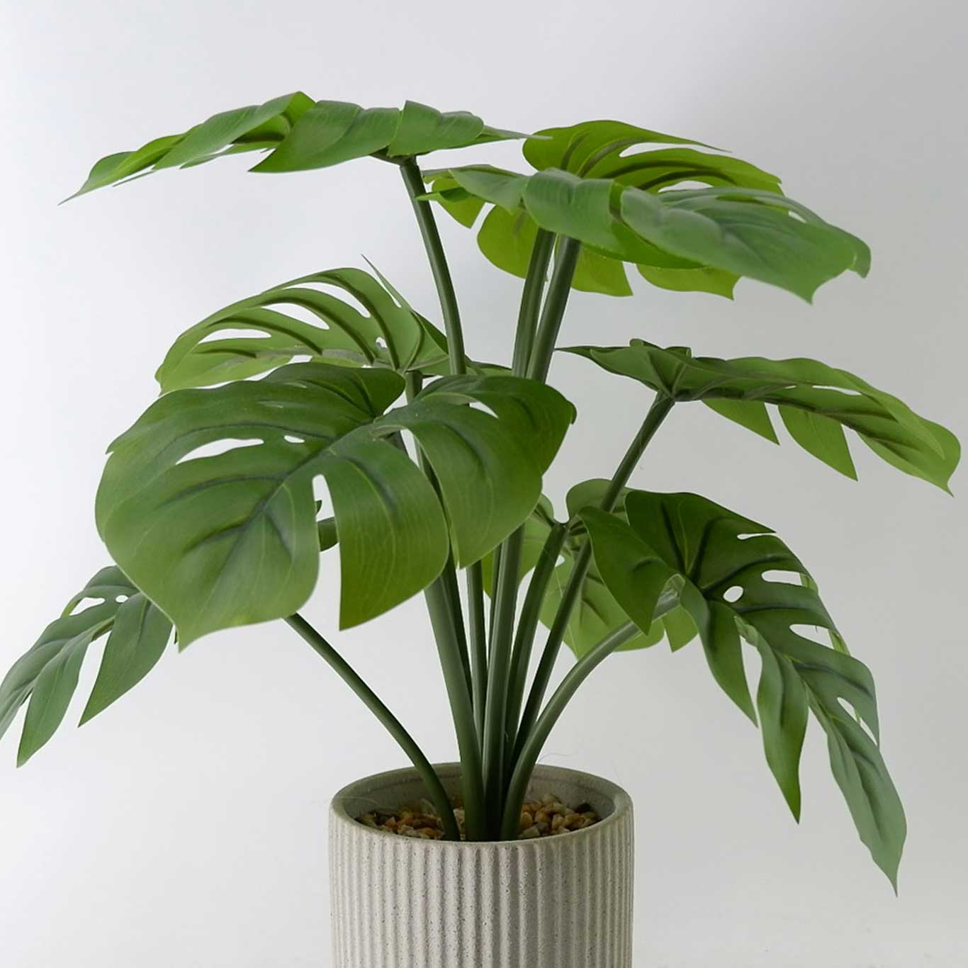 MC23-13820P Monstera H16＂