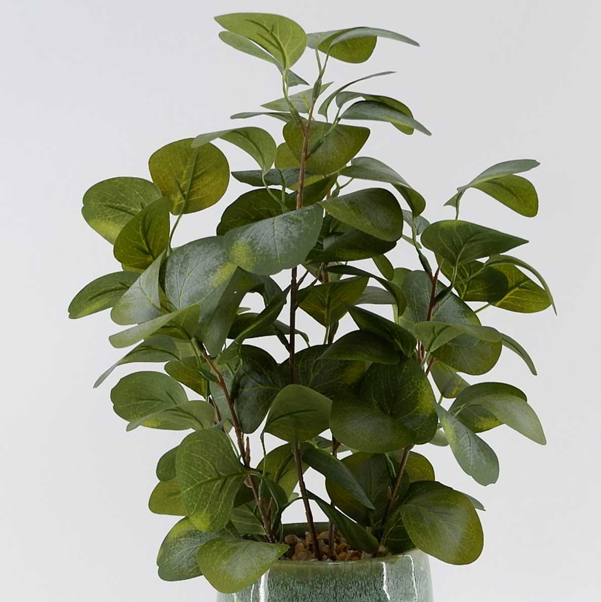 MC23-13991P Eucalyptus leaf H16.5＂