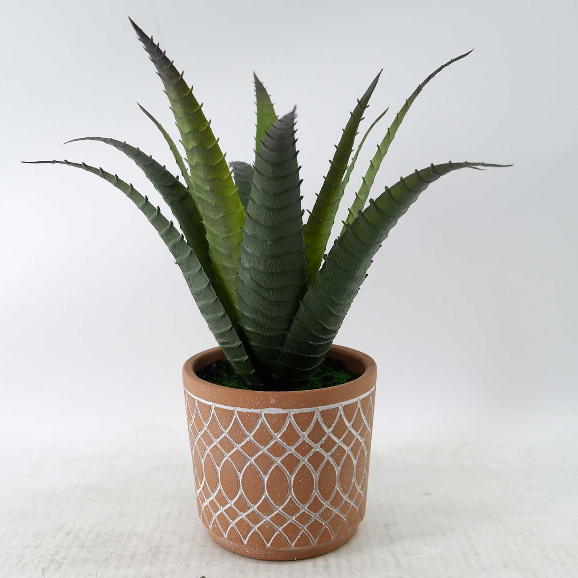 MC23-14430S Aloes H11＂