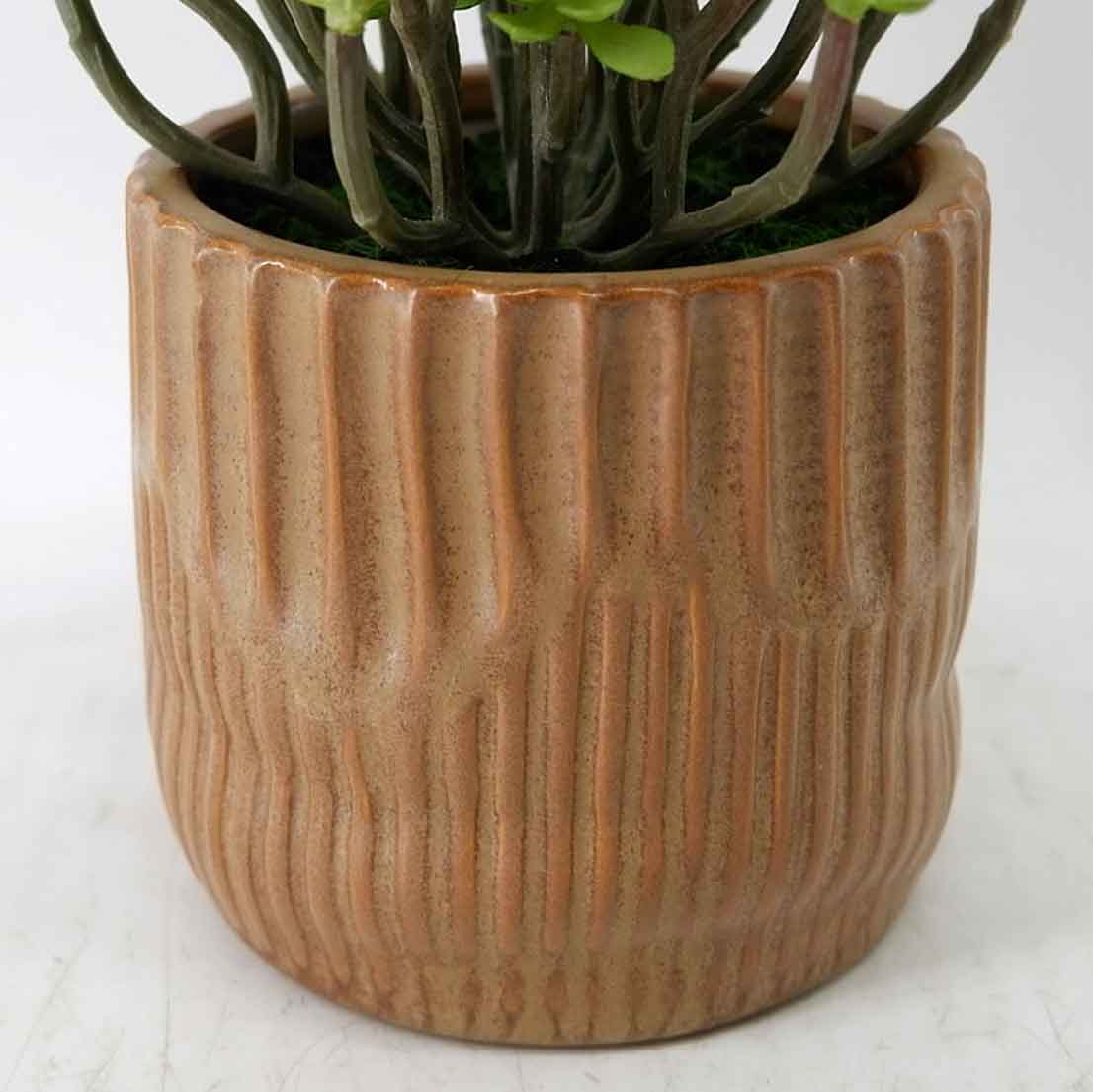 MC23-14431P Succulent H7＂