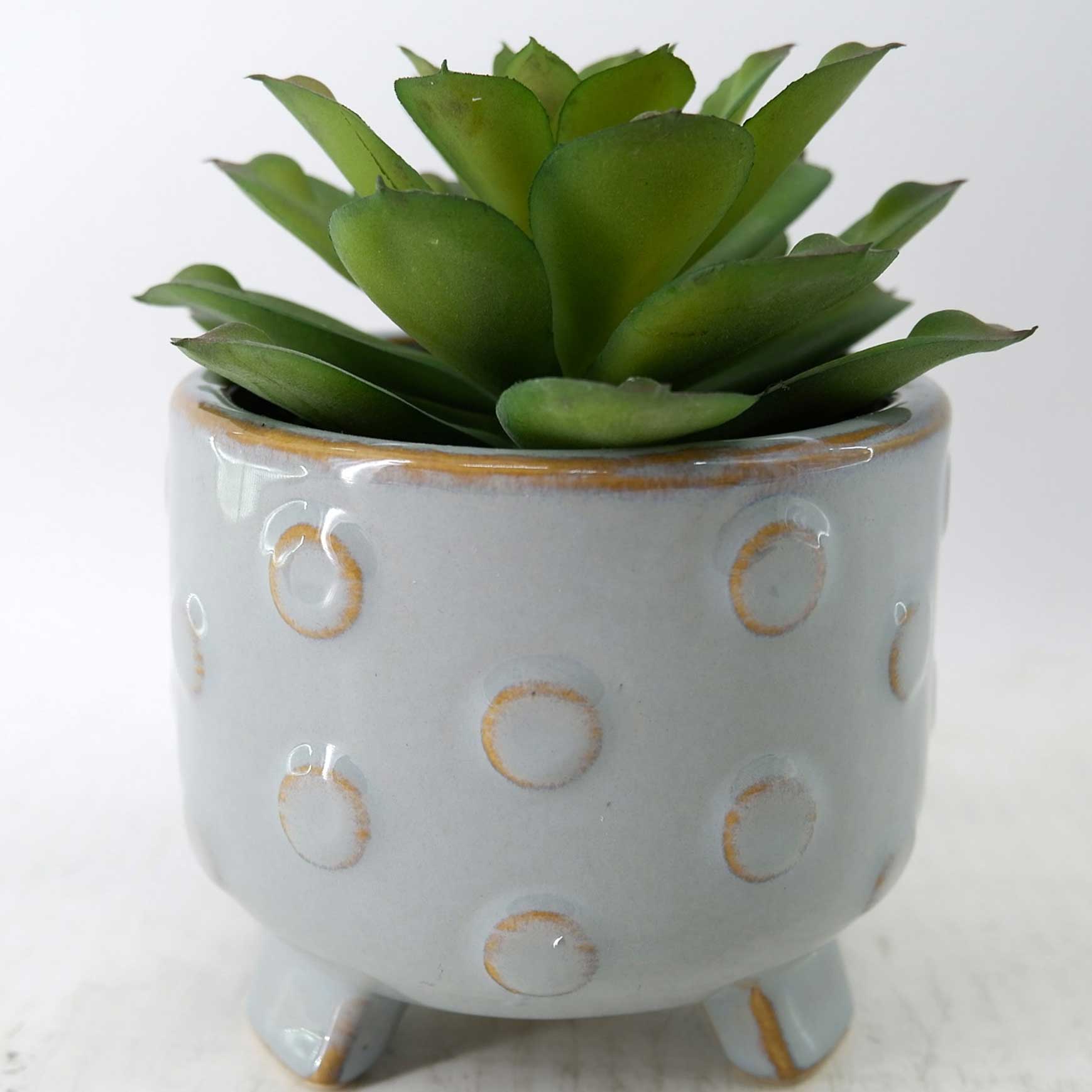 MC23-14530P Succulent H5.75＂