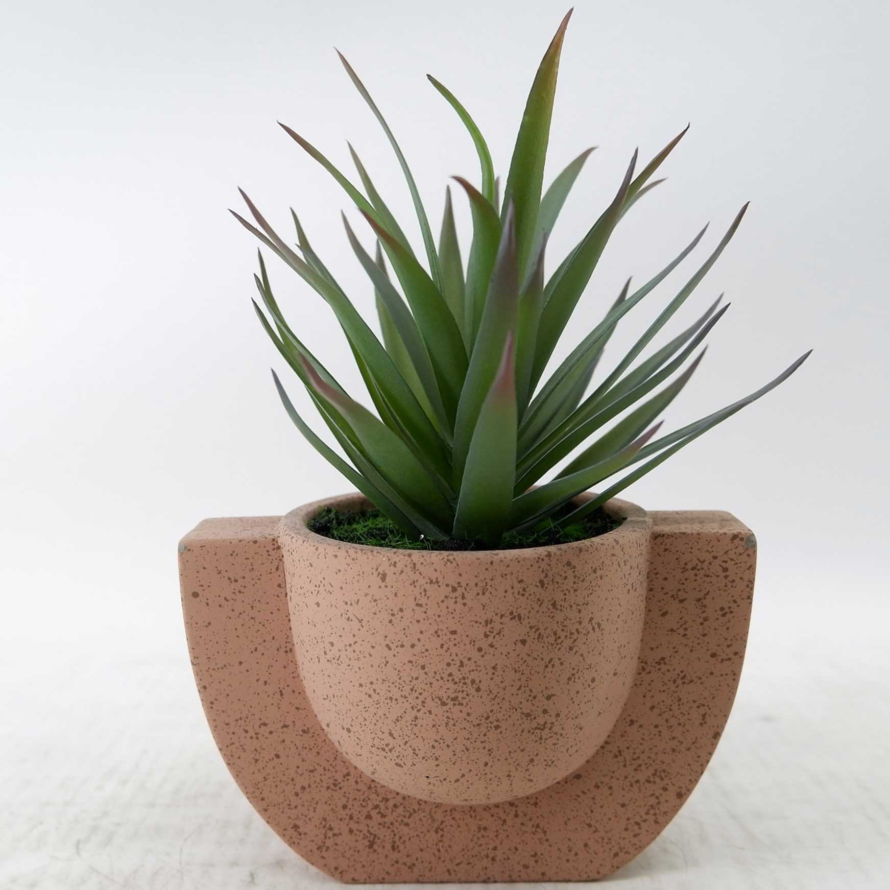 MC23-14536S Succulent H8.5＂