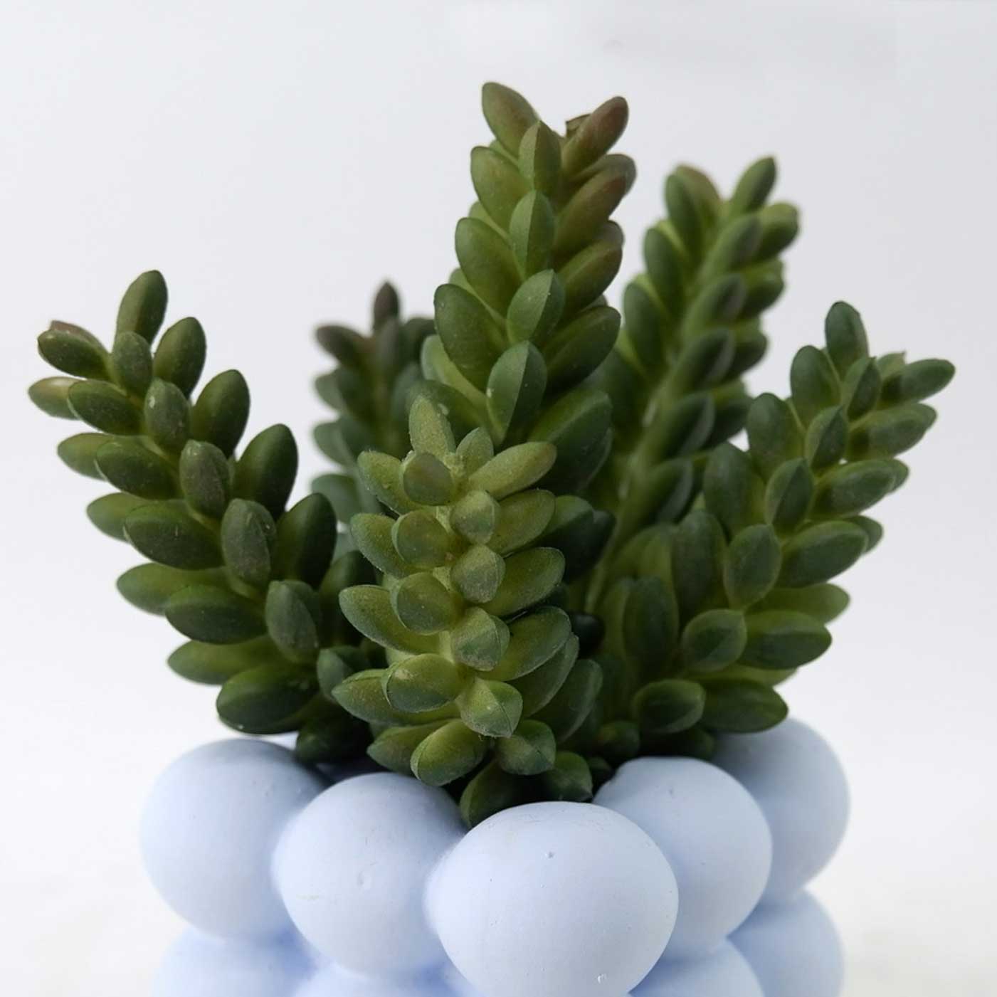 MC23-14647S Succulent H5＂