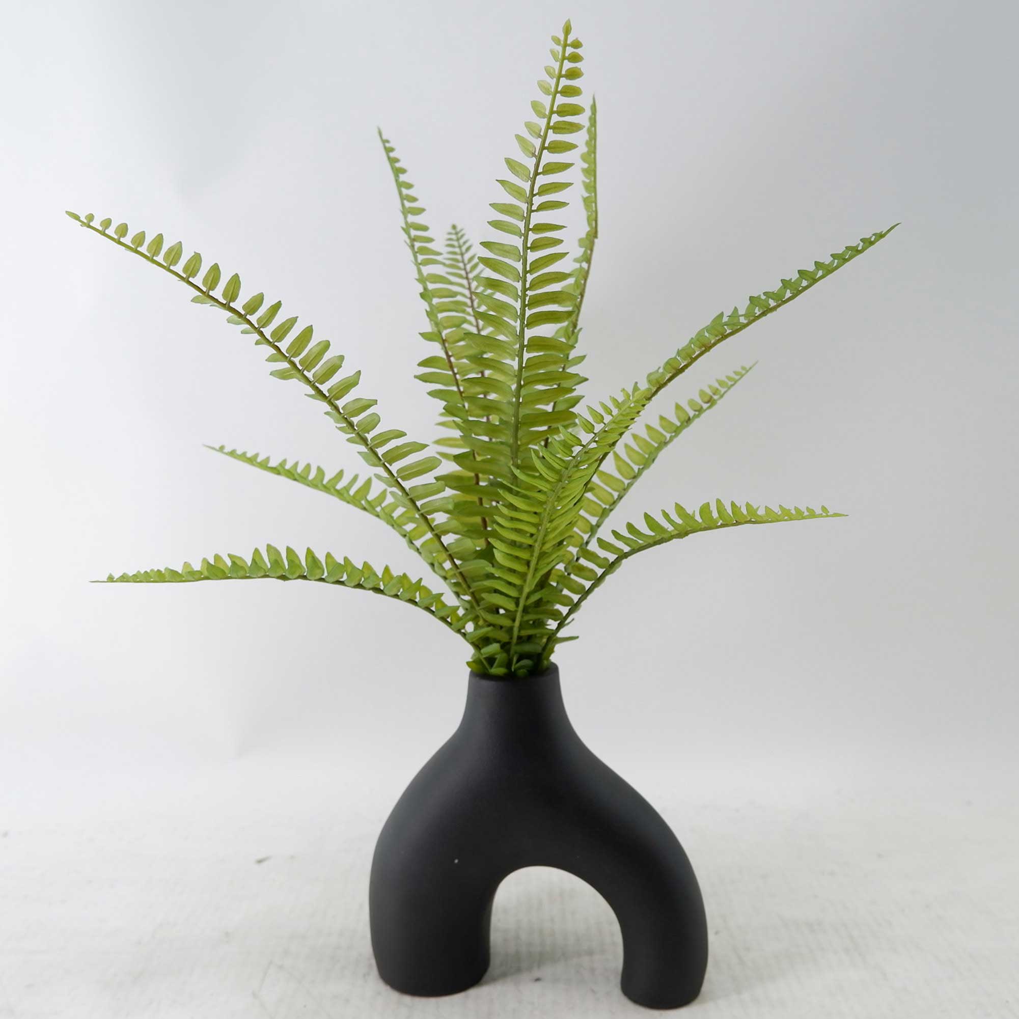 MC23-14631S Fern H16.5＂