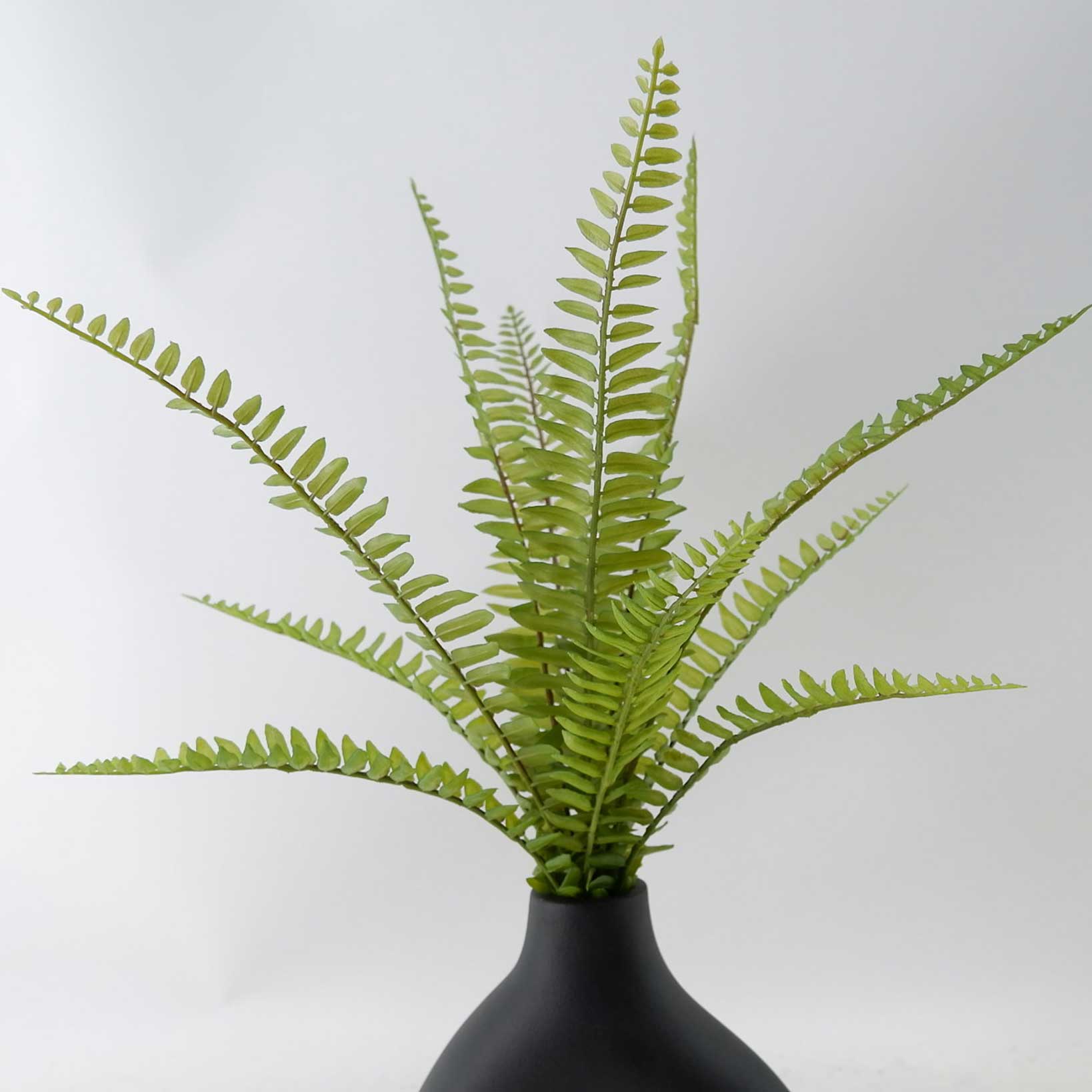 MC23-14631S Fern H16.5＂