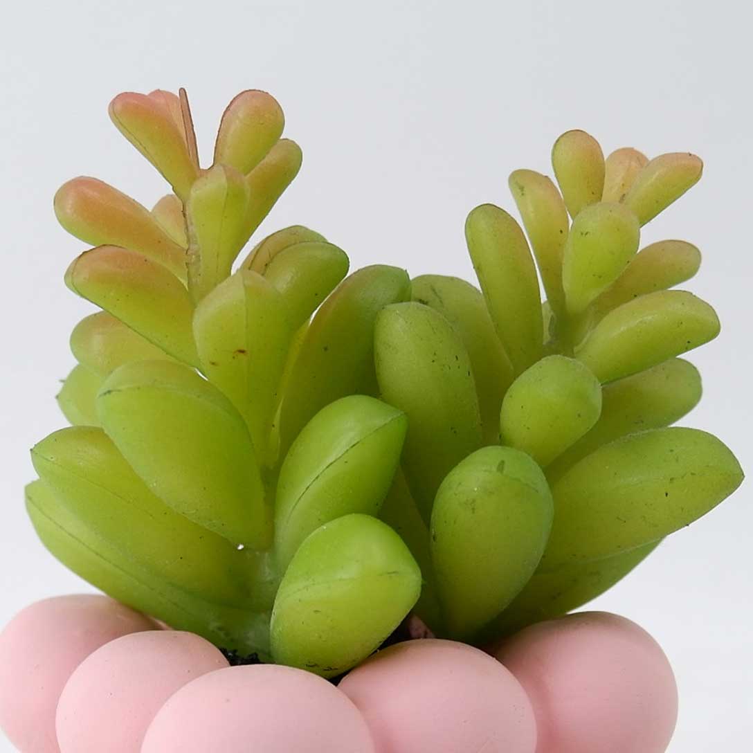 MC23-14664S Succulent H4.5＂